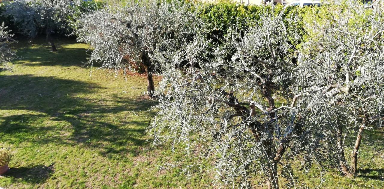 Il Melograno Bed & Breakfast Гарда Екстериор снимка